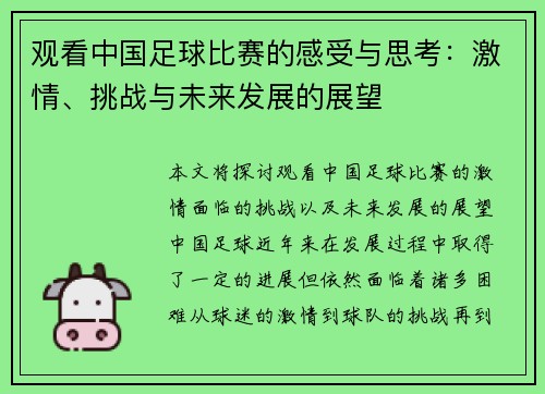 观看中国足球比赛的感受与思考：激情、挑战与未来发展的展望