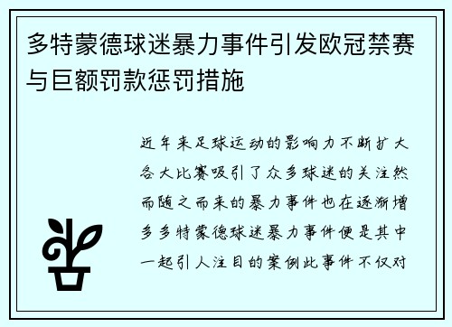 多特蒙德球迷暴力事件引发欧冠禁赛与巨额罚款惩罚措施